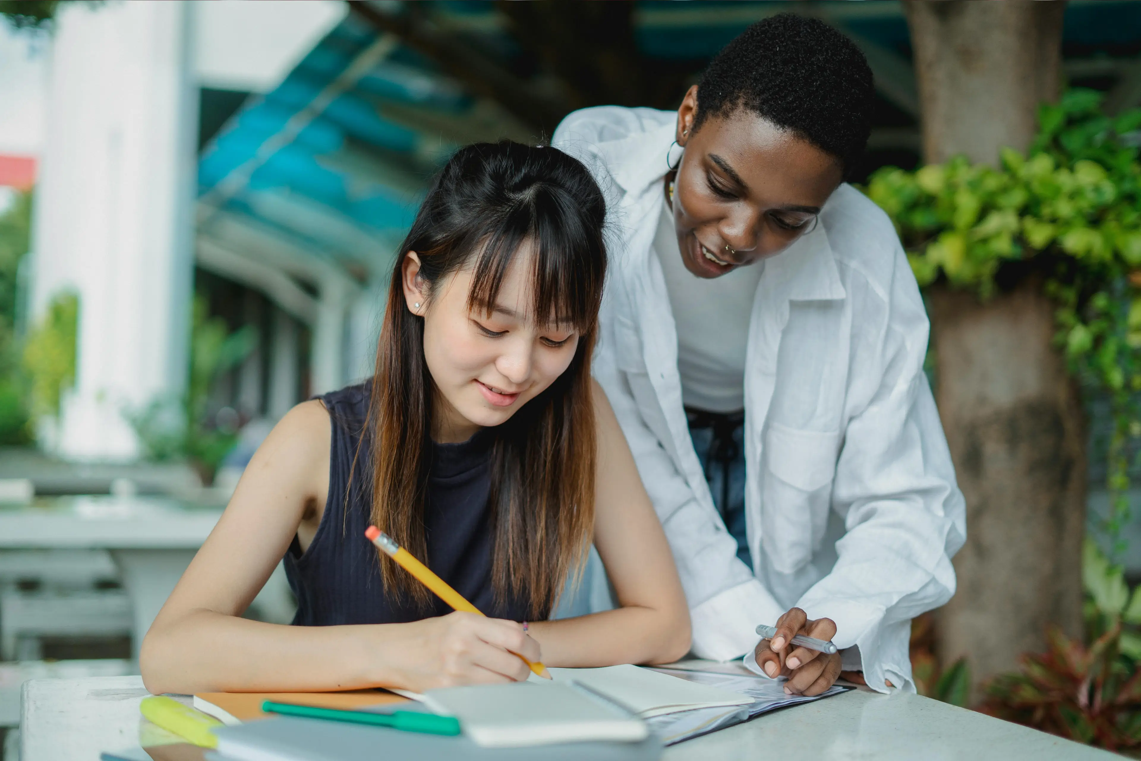 Two people studying together outdoors. Two people studying together outdoors.